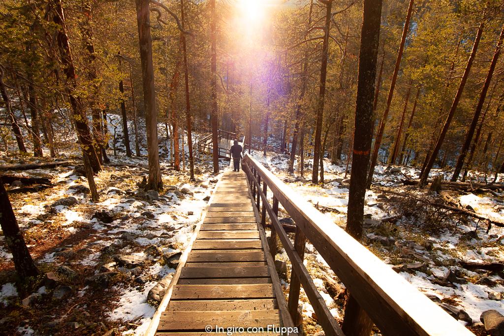 Cosa vedere a Rovaniemi e dintorni: Pyha-Luosto national park