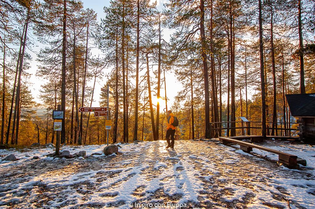 Cosa vedere a Rovaniemi e dintorni: Pyha-Luosto national park
