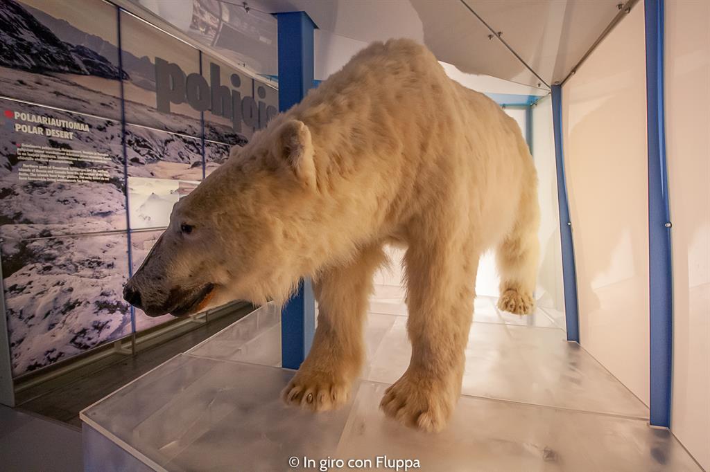 Cosa vedere a Rovaniemi e dintorni: i musei
