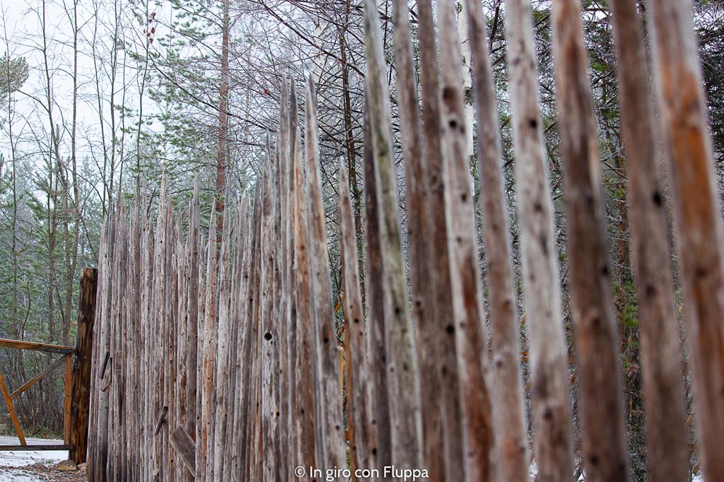 Quando andare a Rovaniemi