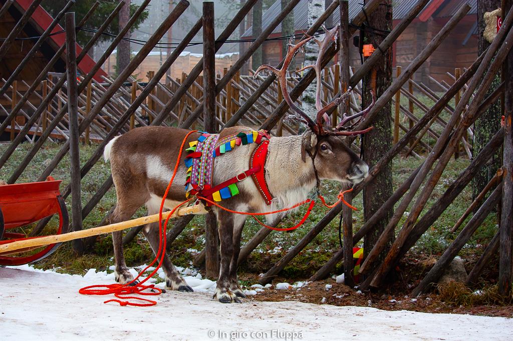 Cosa vedere a Rovaniemi e dintorni: Santa Claus Village