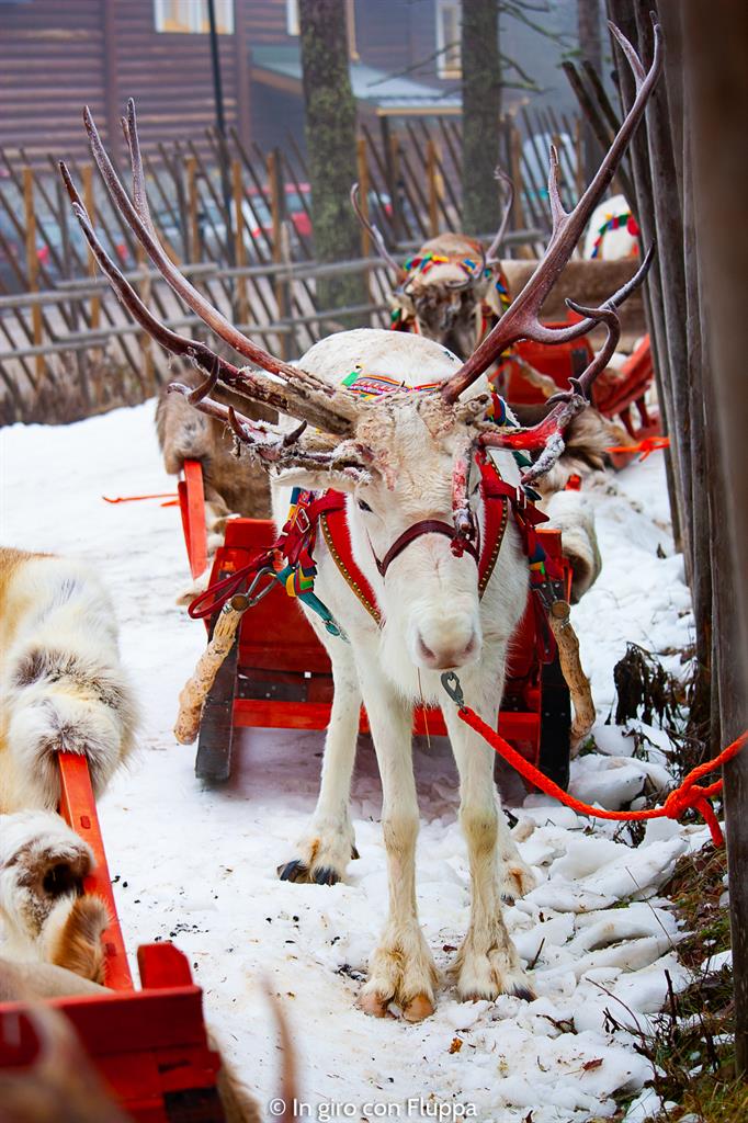 Cosa vedere a Rovaniemi e dintorni: Santa Claus Village