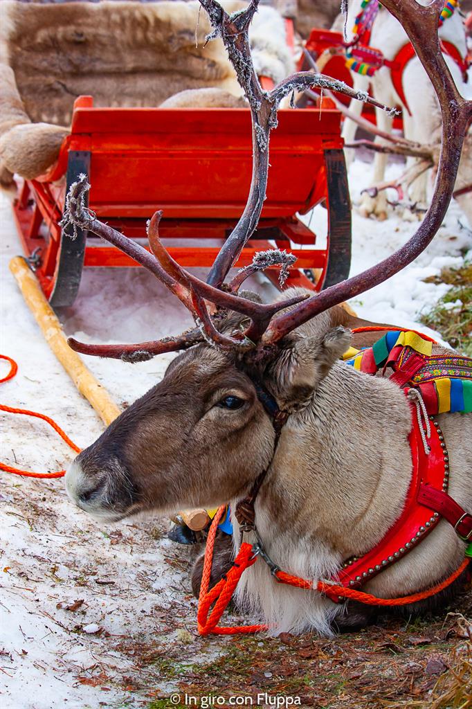 Cosa vedere a Rovaniemi e dintorni: Santa Claus Village