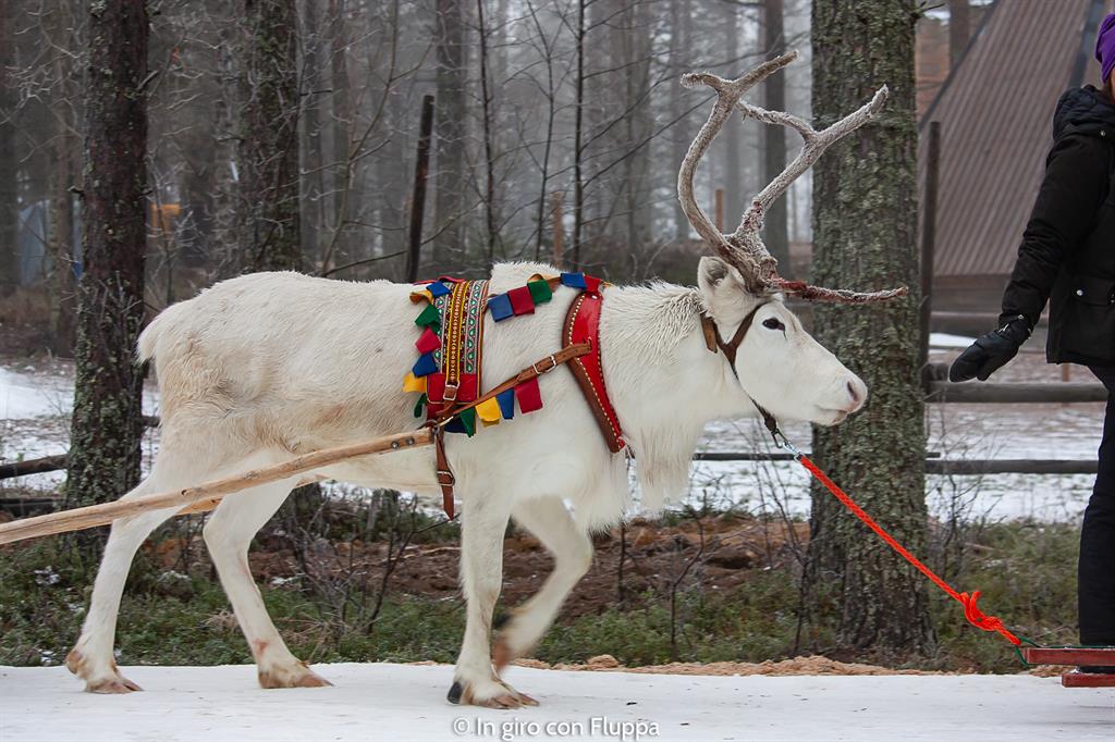 Cosa vedere a Rovaniemi e dintorni: Santa Claus Village