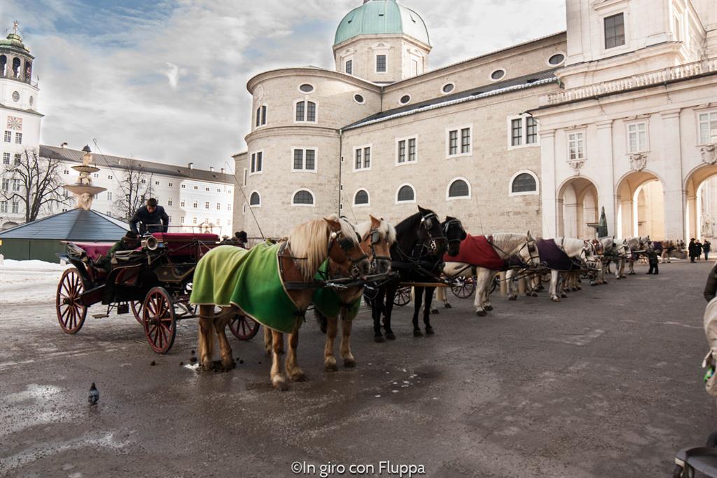Salisburgo - Resident Platz