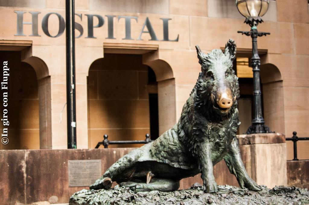 Il porcellino - Sydney Hospital