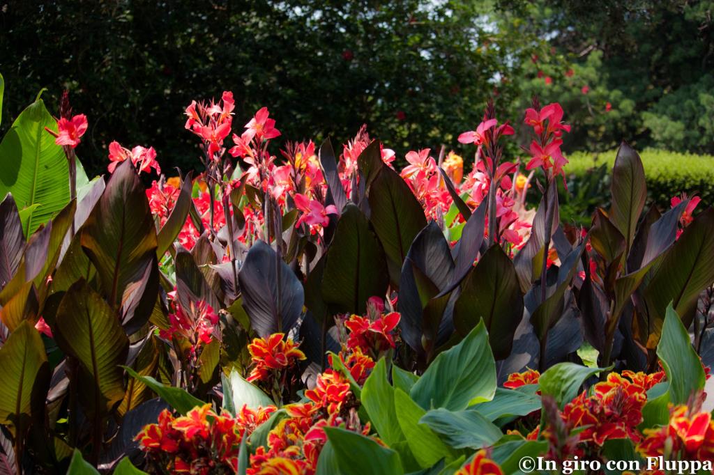 Royal Botanic Gardens