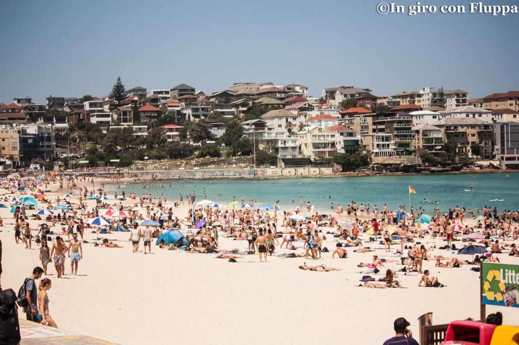 Bondi Beach