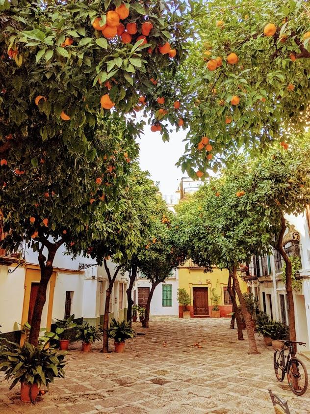 Siviglia in tre giorni: Barrio de Santa Cruz