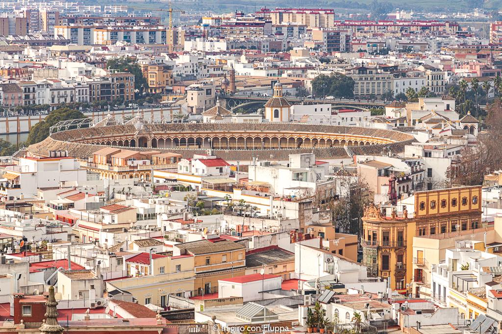 Plaza de Toros
