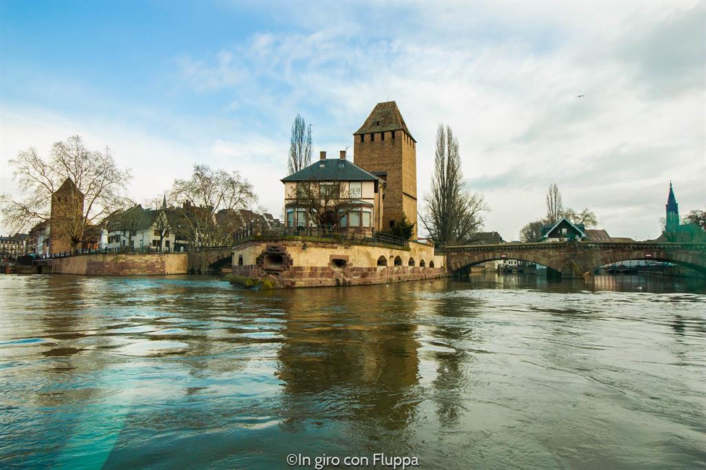 Cosa fare a Strasburgo - tour in battello