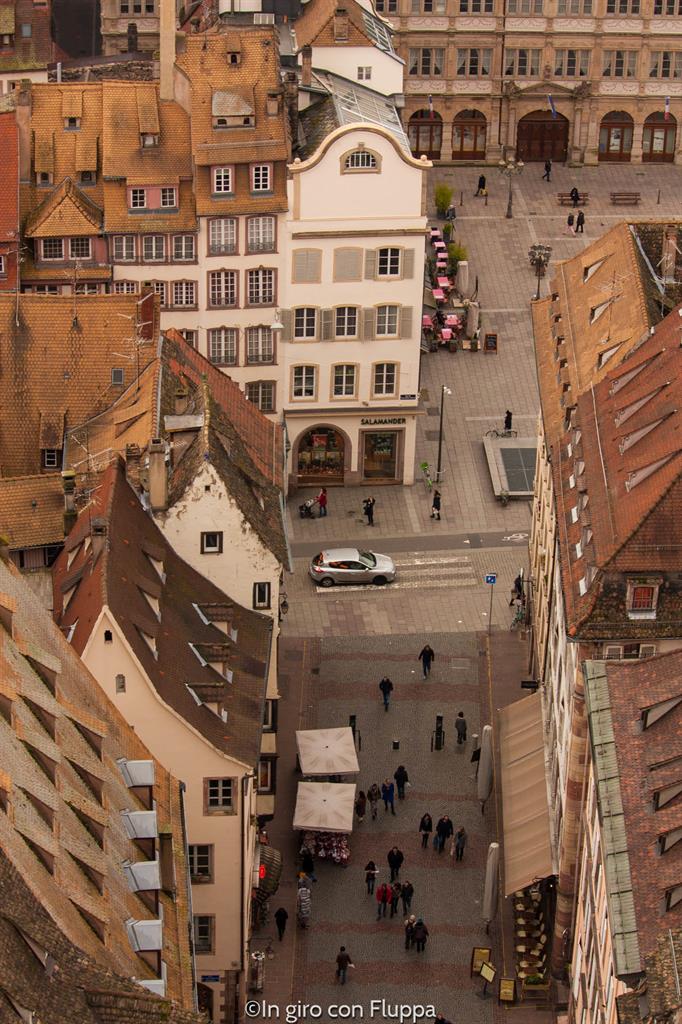 Strasburgo dall'alto