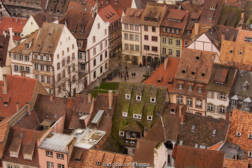 Strasburgo dall'alto
