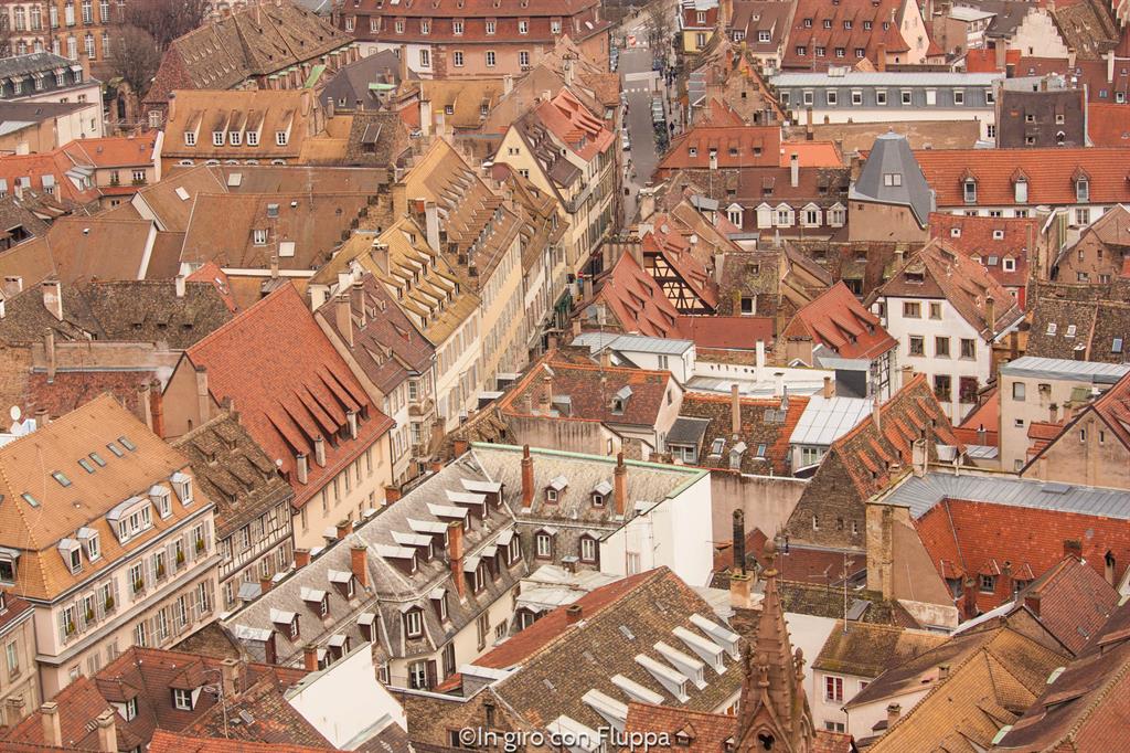 Strasburgo dall'alto