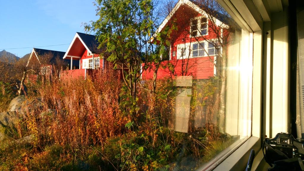 Hammerstad Camping: visuale dalla finestra