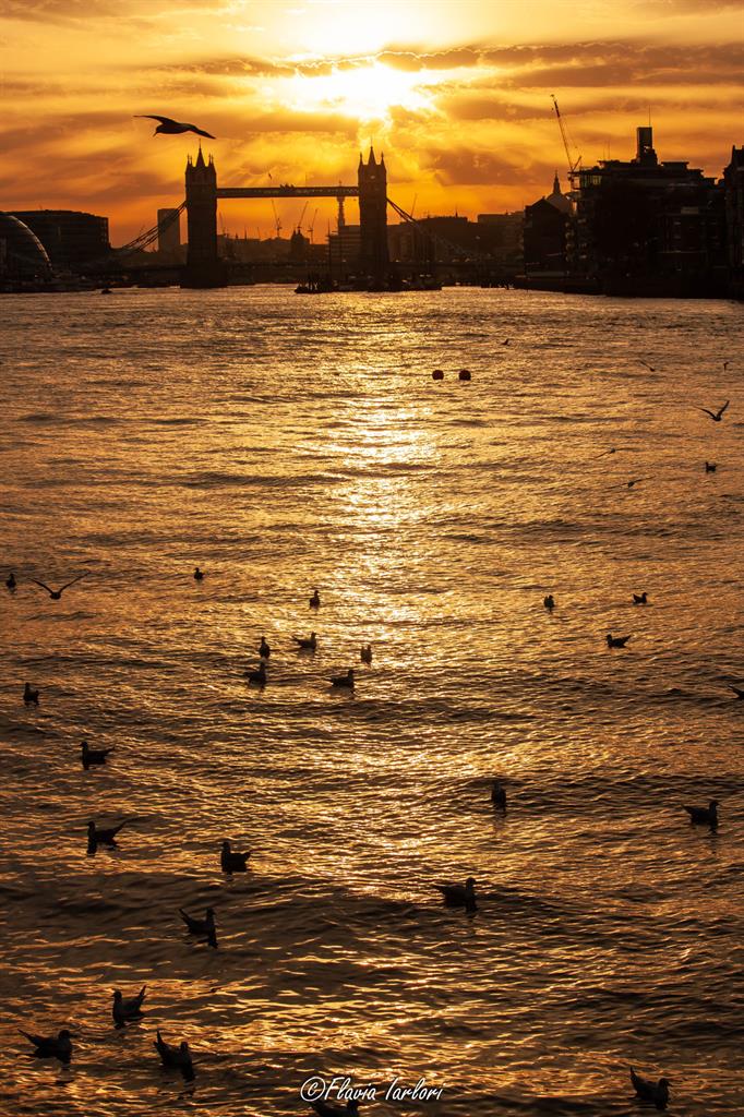 Dove vedere il tramonto a Londra: Rotherhithe