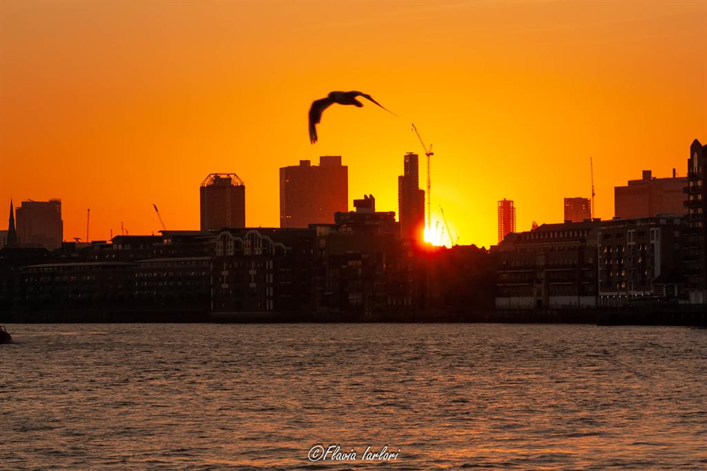 Dove vedere il tramonto a Londra: Westferry Circus