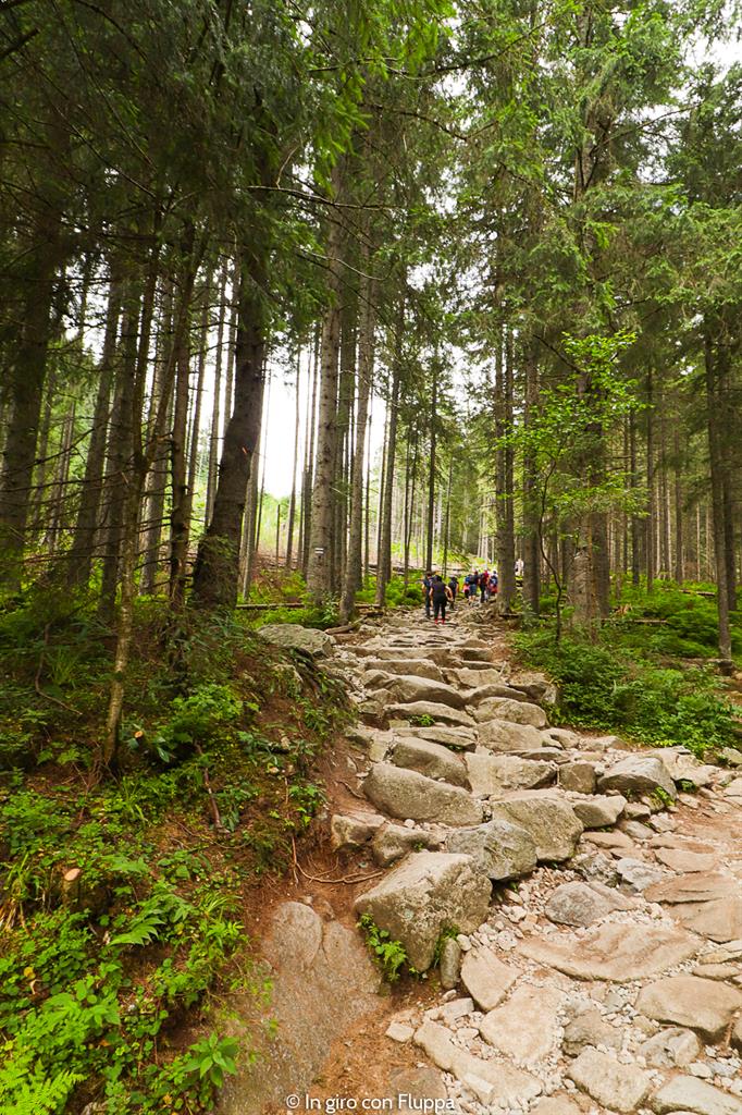 Trekking in Polonia, escursione sui Monti Tatra: sentiero per Dolina Pieciu Stawów
