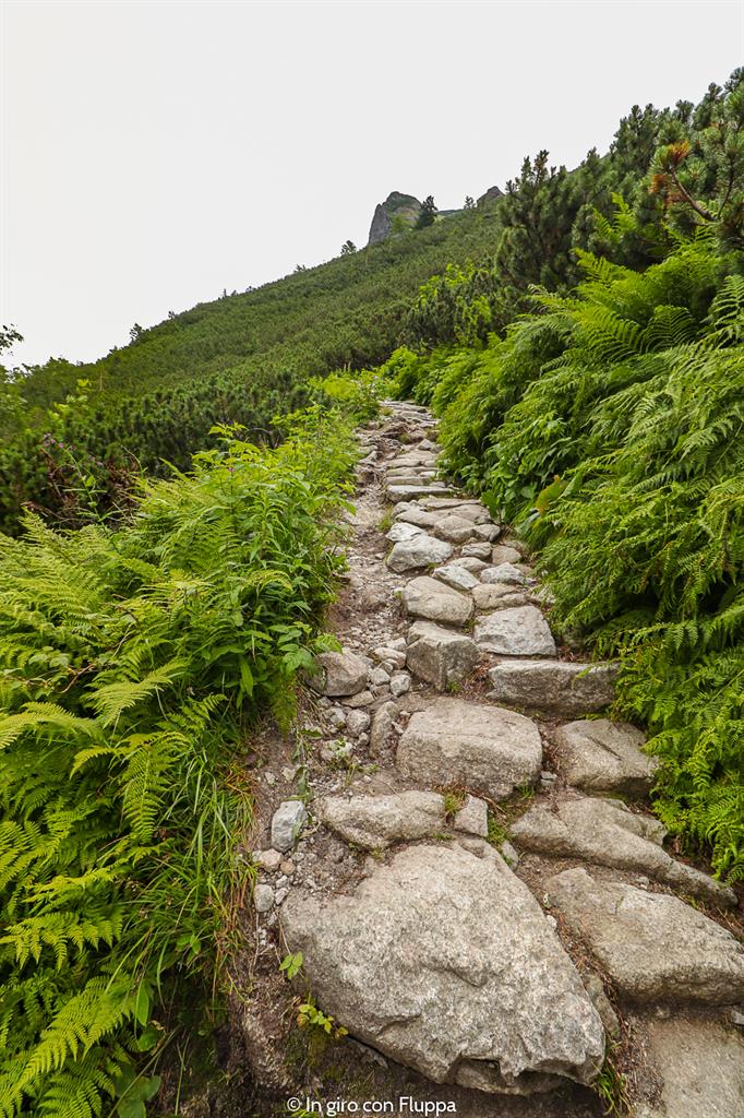 Trekking in Polonia, escursione sui Monti Tatra: Swistowa Kopa