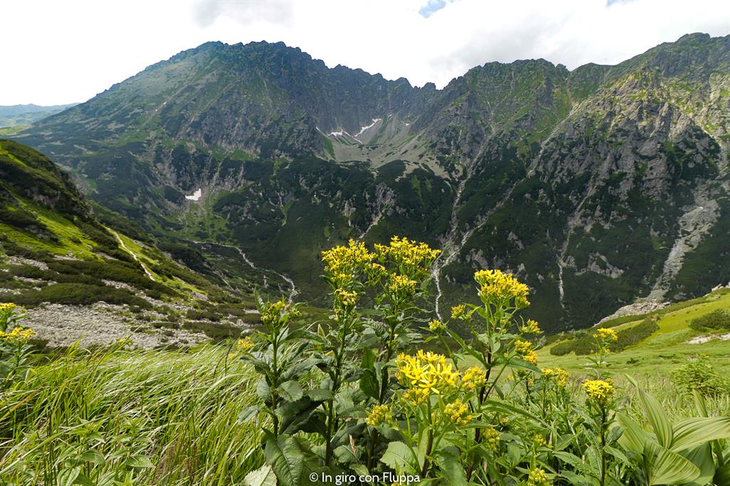 Trekking in Polonia, escursione sui Monti Tatra: Swistowa Kopa