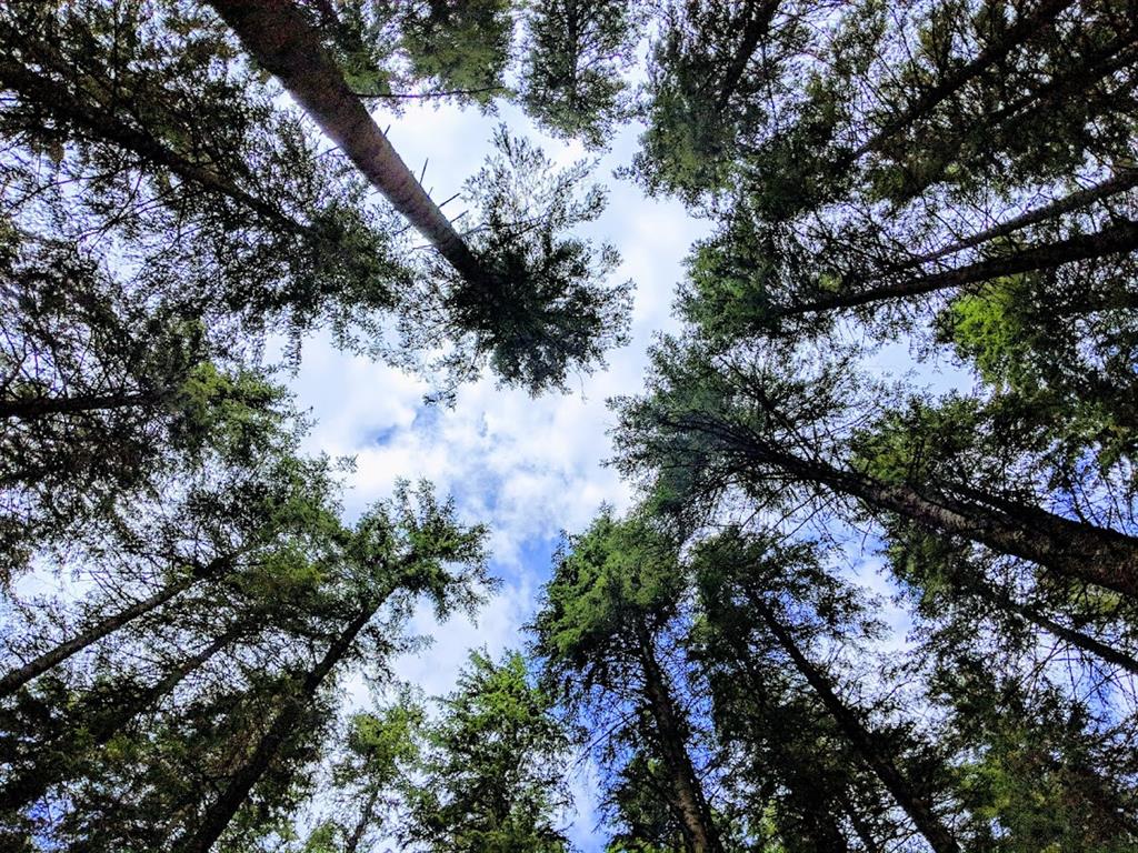 Trekking in Polonia, escursione sui Monti Tatra: sentiero per Dolina Pieciu Stawów