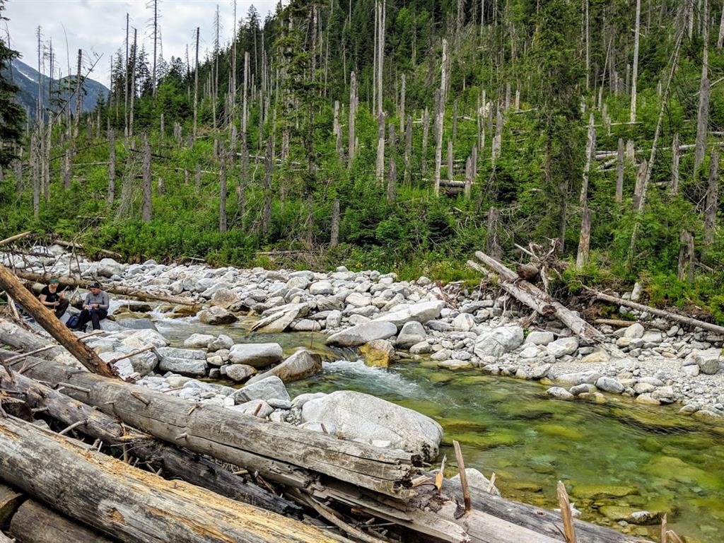 Trekking in Polonia, escursione sui Monti Tatra: sentiero per Dolina Pieciu Stawów