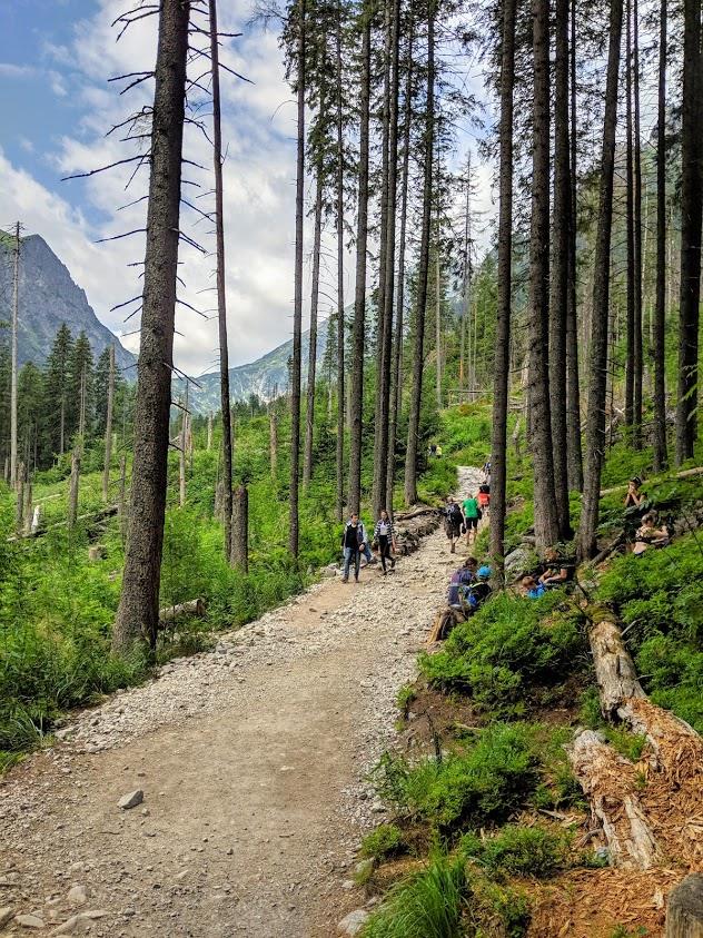 Trekking in Polonia, escursione sui Monti Tatra: sentiero per Dolina Pieciu Stawów