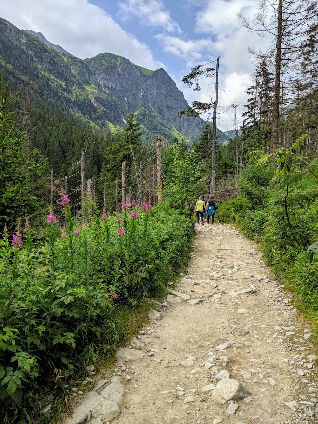 Trekking in Polonia, escursione sui Monti Tatra: sentiero per Dolina Pieciu Stawów