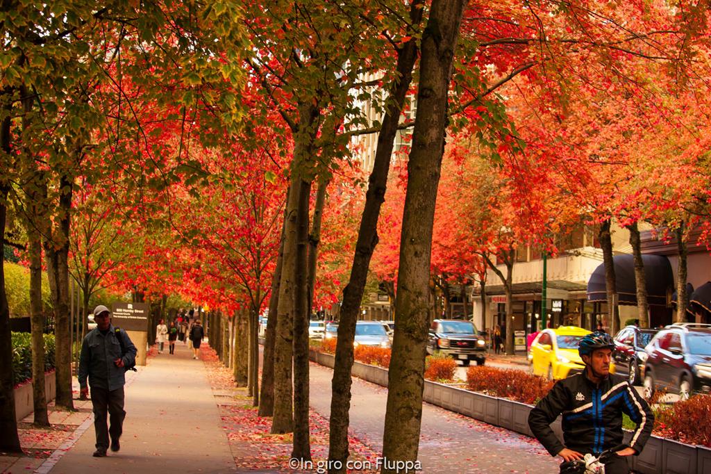 Cosa vedere a Vancouver in 5 giorni:Vancouver Downtown