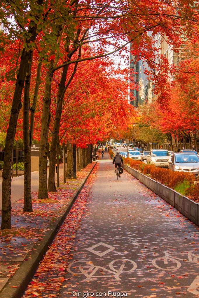 Cosa vedere a Vancouver in 5 giorni:Vancouver Downtown