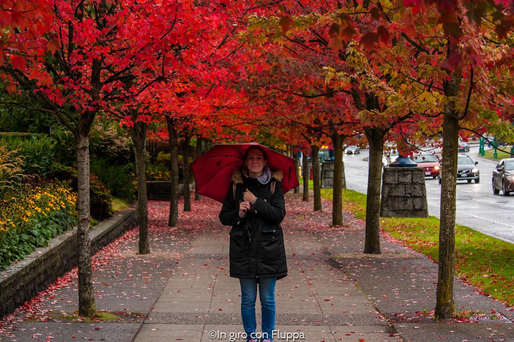 Cosa vedere a Vancouver in 5 giorni:Vancouver Downtown