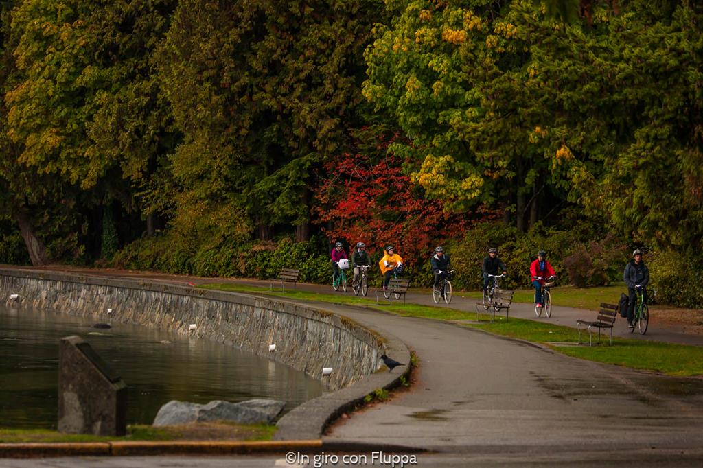 Cosa vedere a Vancouver in 5 giorni: Stanley Park