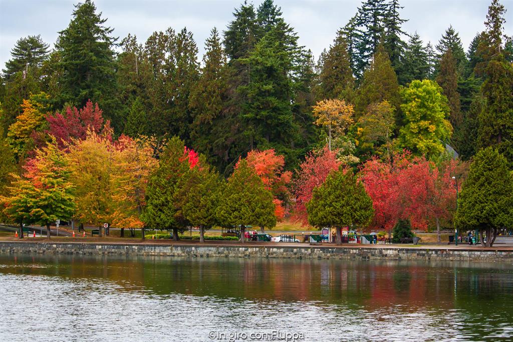 Cosa vedere a Vancouver in 5 giorni: Stanley Park