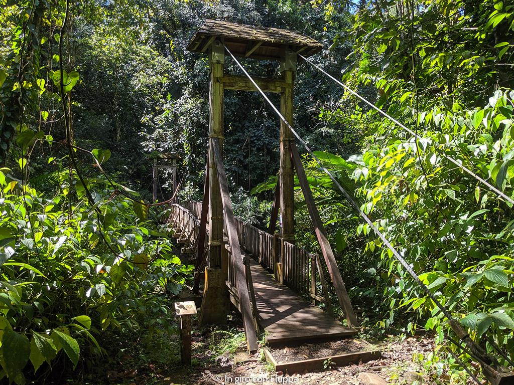 Guadalupa: Maison de la Forêt