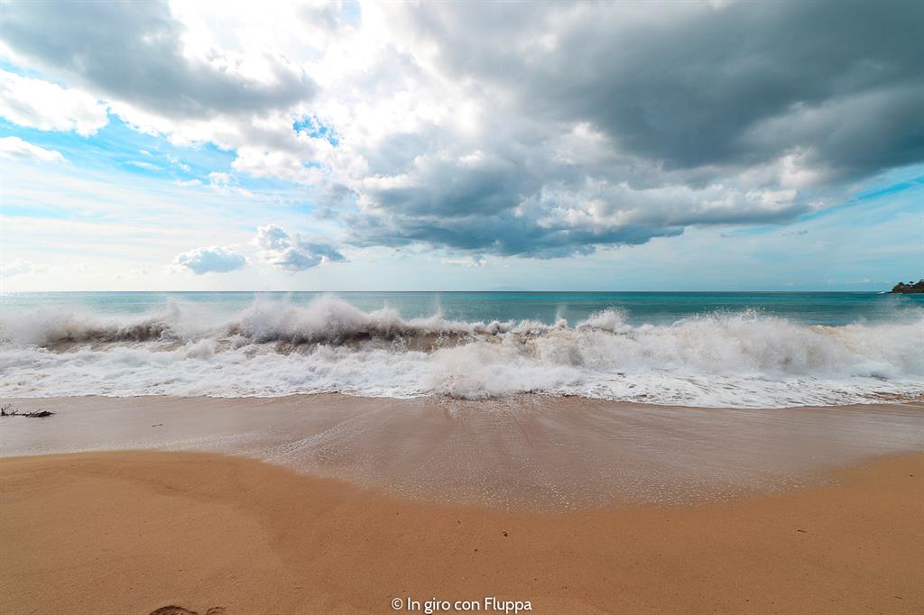 Guadalupa: Grande Anse