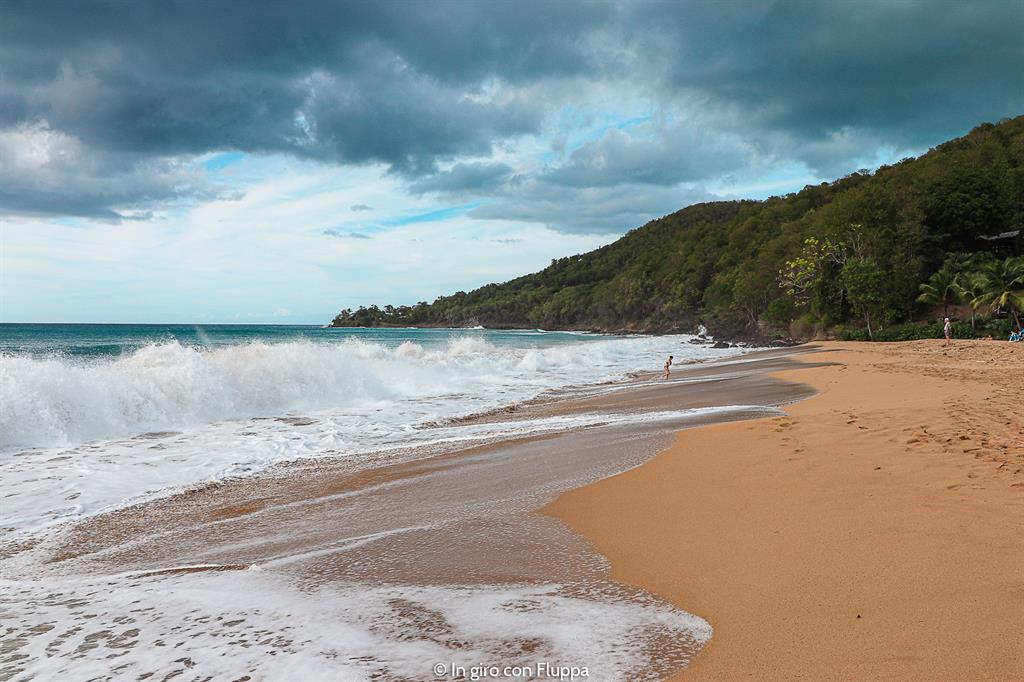 Guadalupa: Grande Anse