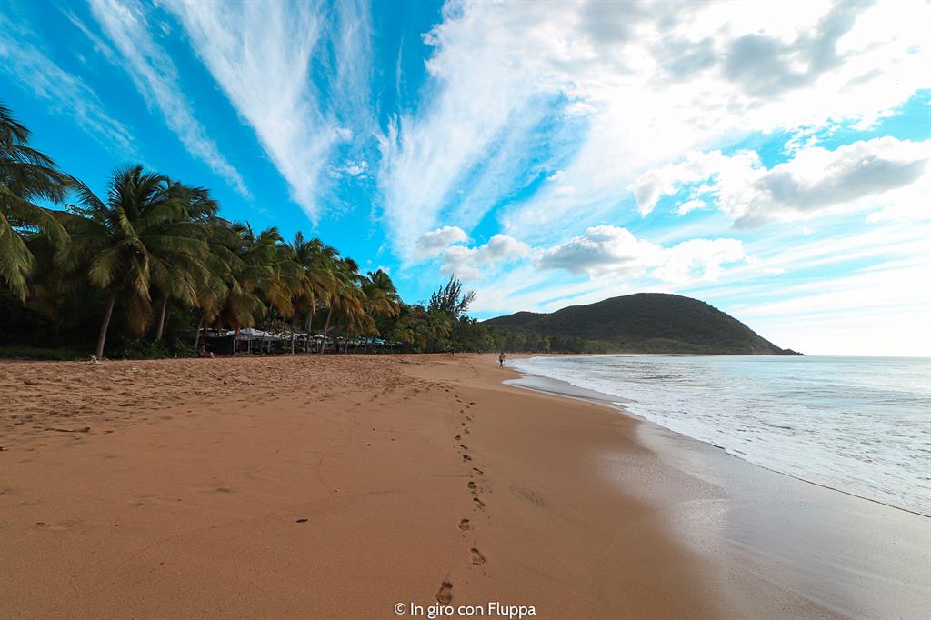 Guadalupa: Grande Anse