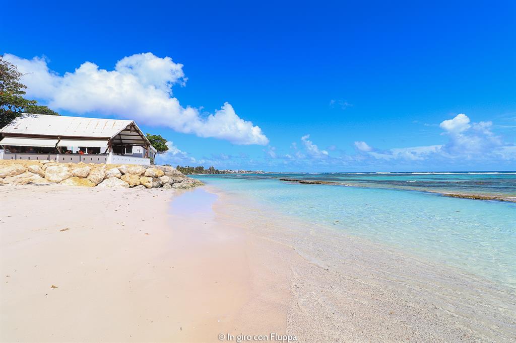 Copertina del post "Viaggio a Guadalupa, cosa fare tra foresta tropicale e spiagge caraibiche"