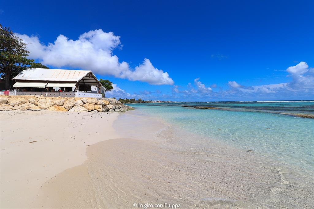 Guadalupa: Plage des Raisins Clairs