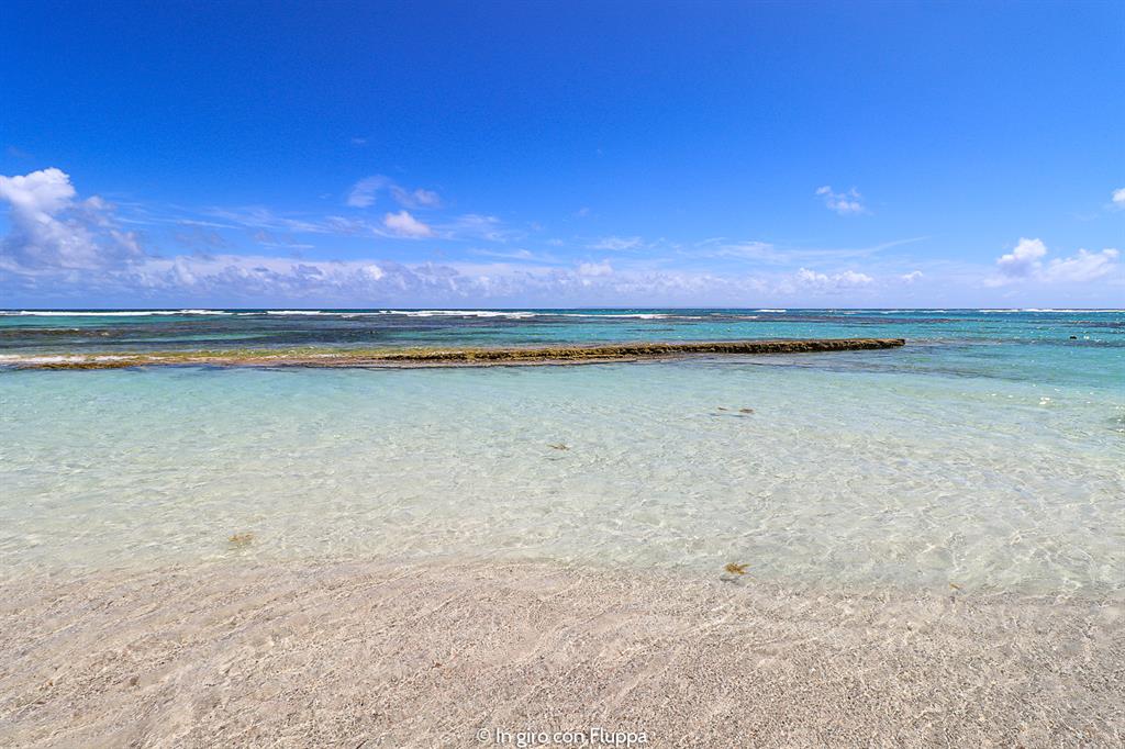Guadalupa: Plage des Raisins Clairs