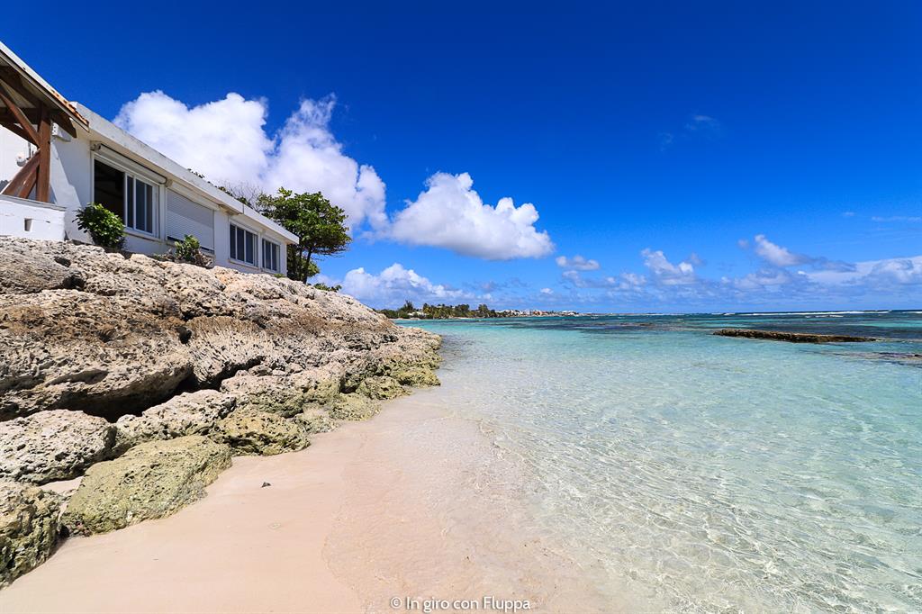 Guadalupa: Plage des Raisins Clairs
