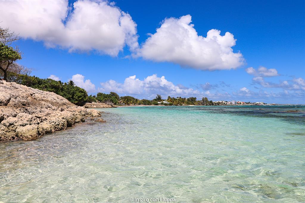 Guadalupa: Plage des Raisins Clairs