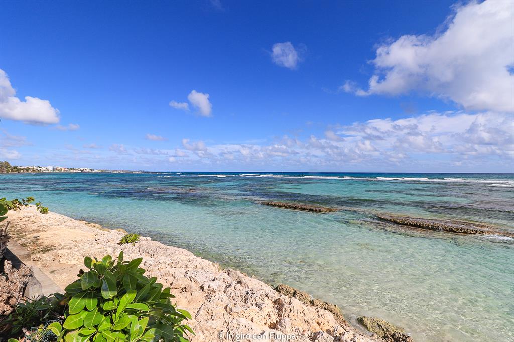Guadalupa: Plage des Raisins Clairs