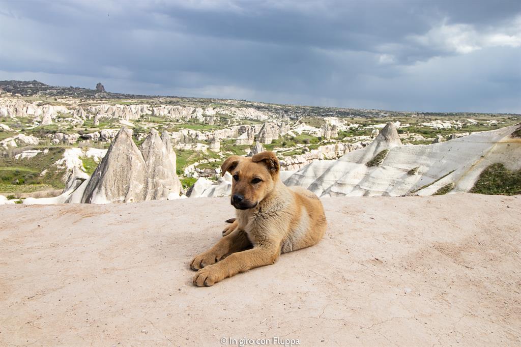 Viaggio in Cappadocia: il tour rosso. Il punto panoramico di Göreme.