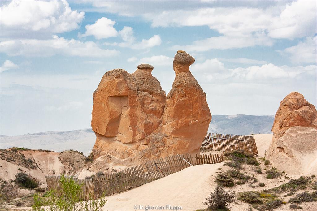 Viaggio in Cappadocia: il tour rosso. Imagination Valley, il cammello.