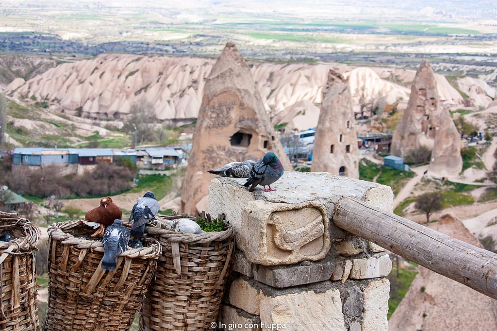 Viaggio in Cappadocia: il tour verde. Pigeon Valley.