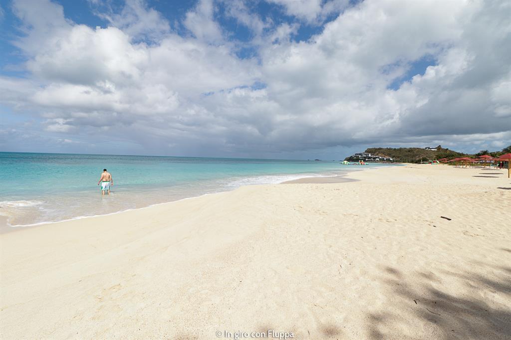 Cosa fare ad Antigua: Darkwood beach