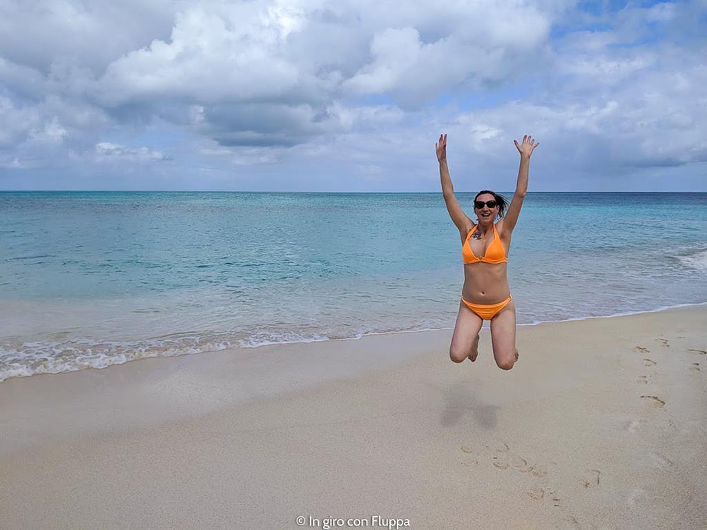 Cosa fare ad Antigua: Darkwood beach