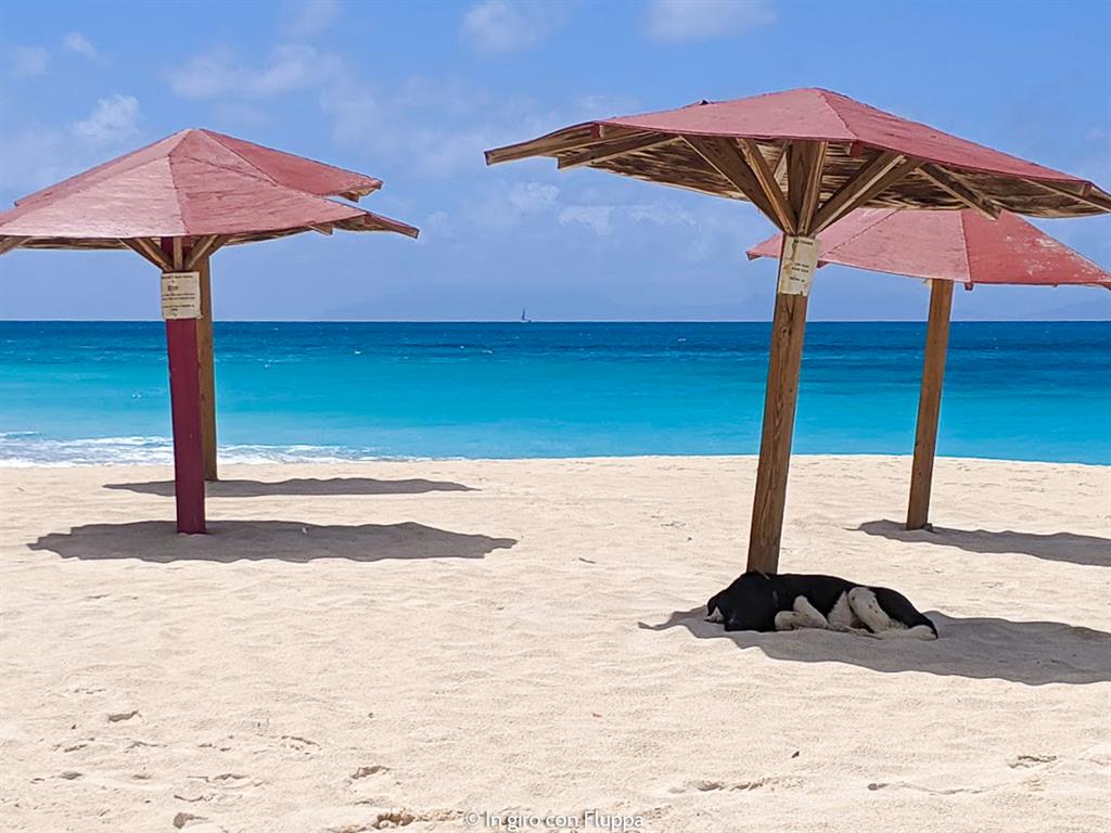Cosa fare ad Antigua: Darkwood beach