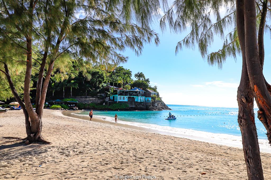 Cosa fare ad Antigua: Jolly beach